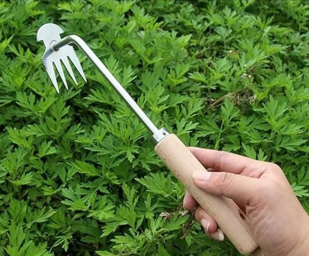 Garden Weed Pulling Tool (40% OFF NOW)