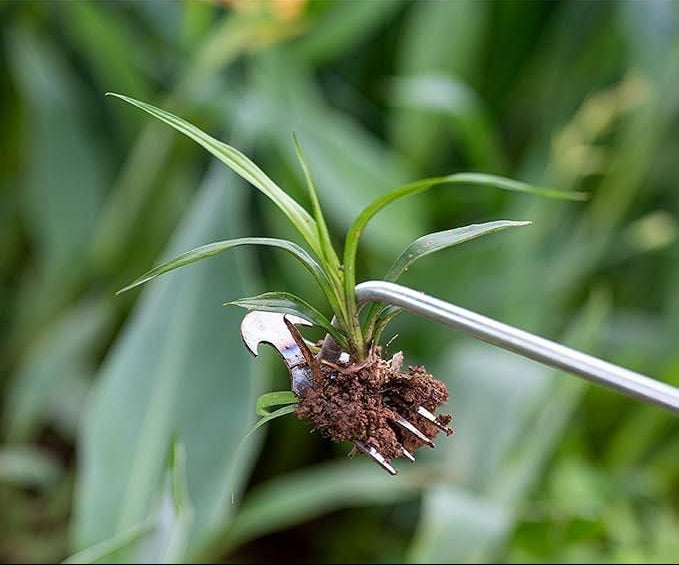 Garden Weed Pulling Tool (40% OFF NOW)