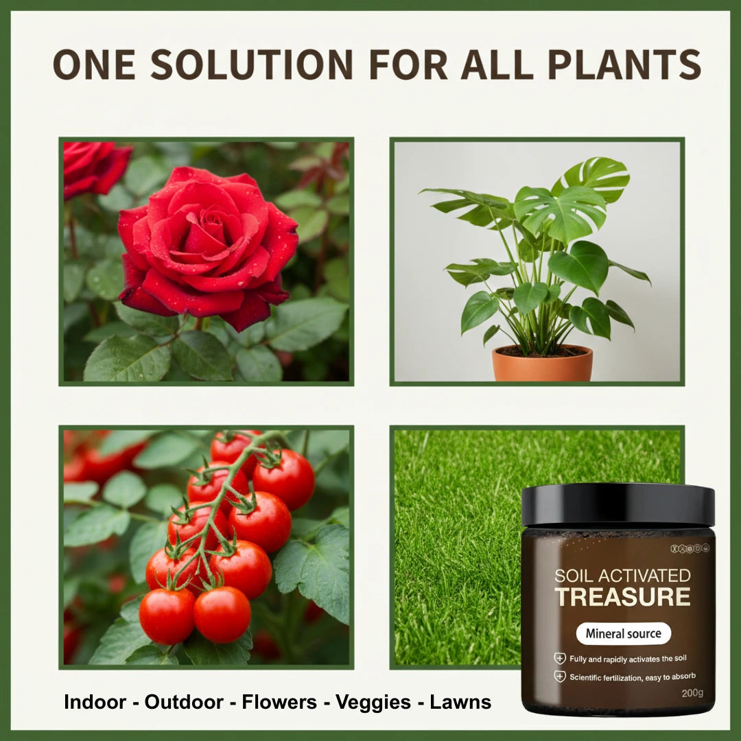 Organic Soil Activator - Plant's Best Friend (BUY 1 GET 1 FREE)